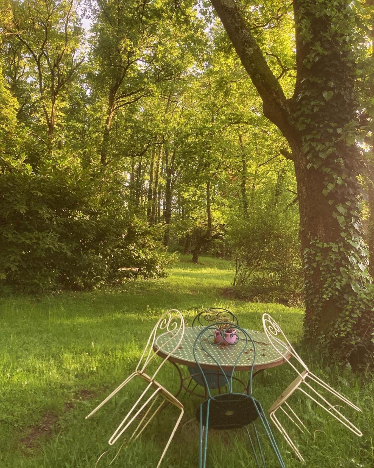 Les Bois De Ravel Chambres D'Hotes Buitenkant foto